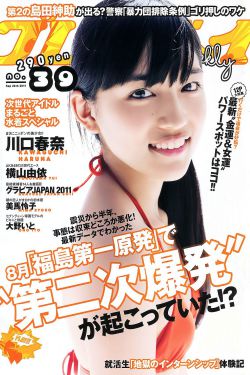 射雕英雄传之铁血丹心